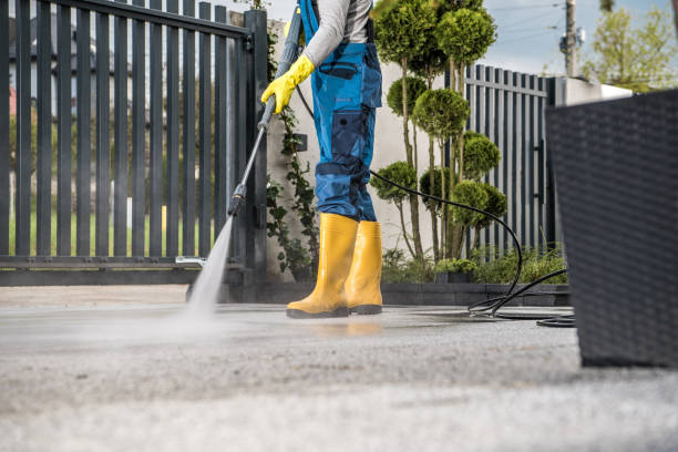 Best Roof Power Washing Services  in Estill, SC
