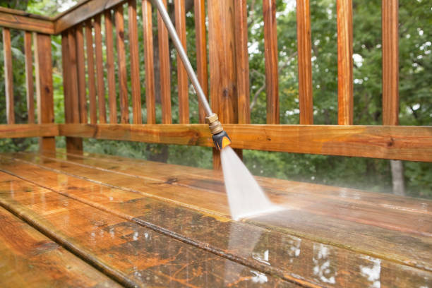 Best Roof Pressure Washing  in Estill, SC